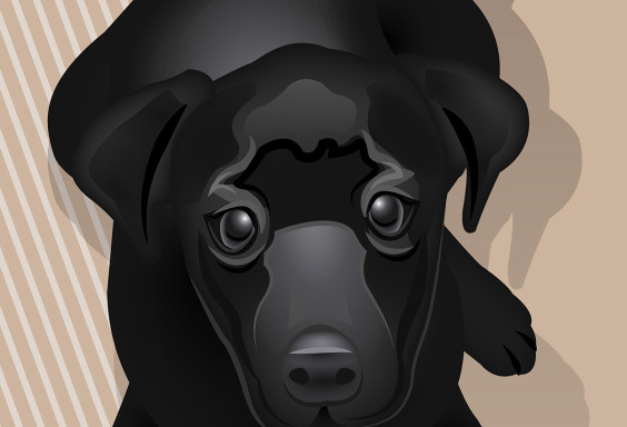 adobe-illustrator-vector-illustration-black-cute-labrador-puppy-dog