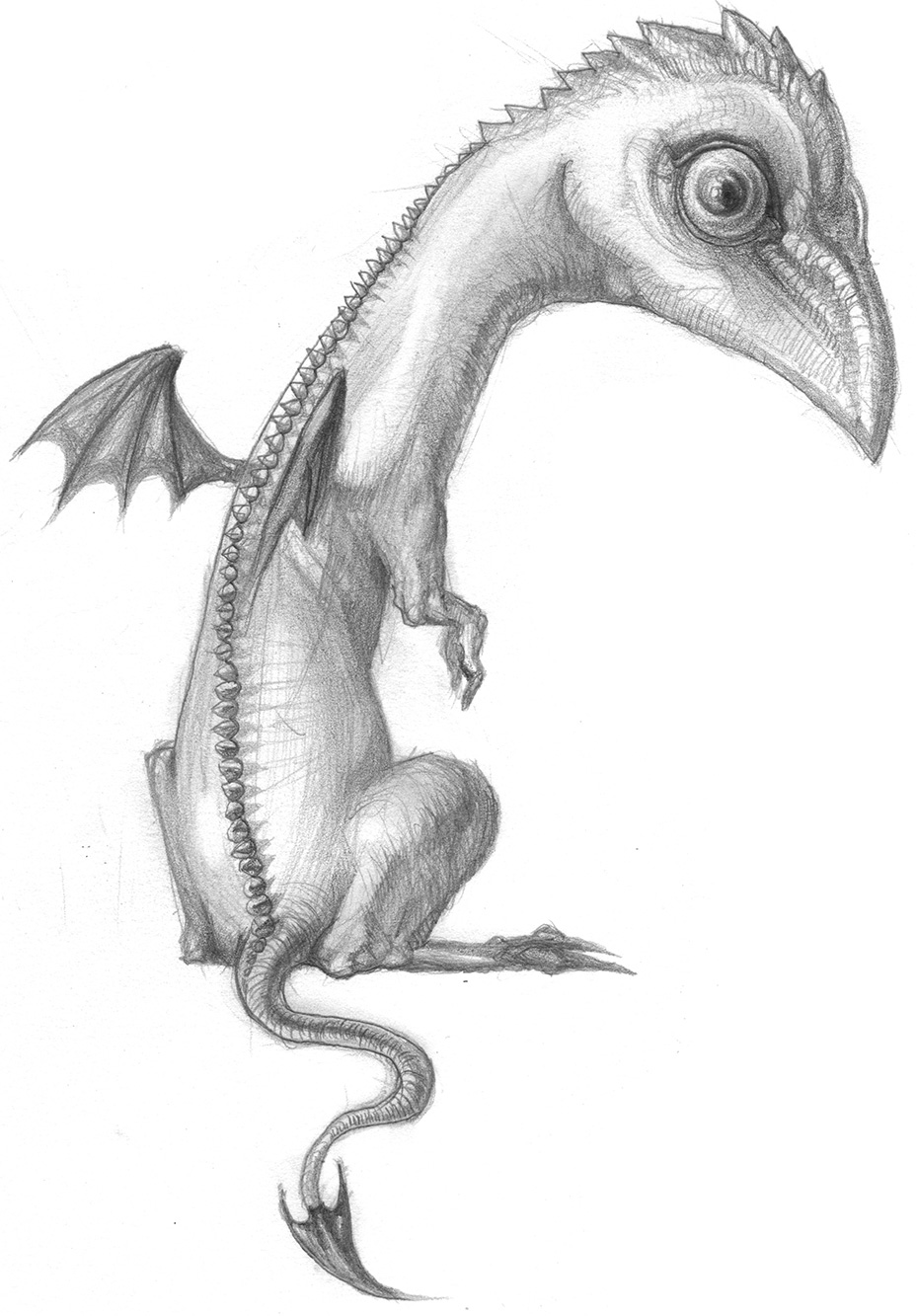 hand-pencil-drawing-little-baby-dragon-fantasy