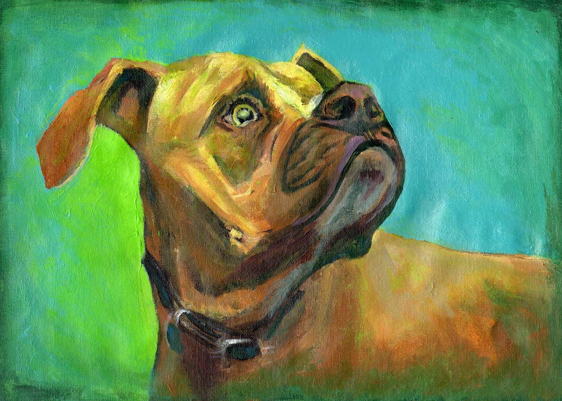 painting-acrylic-dog-head-portrait-bull-dog